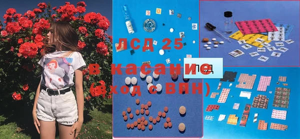 спиды Кукмор
