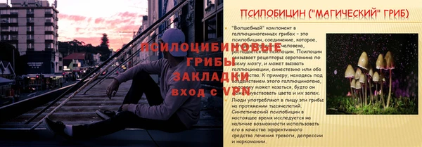 спиды Кукмор